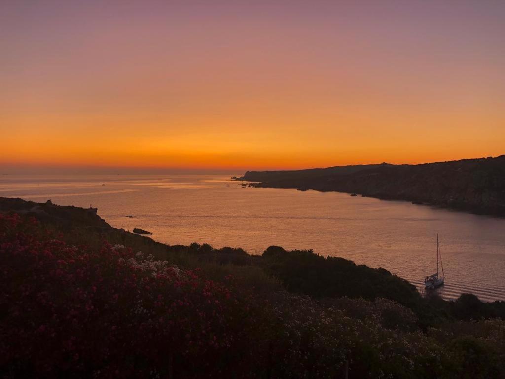 Jolie * Santa Teresa Gallura