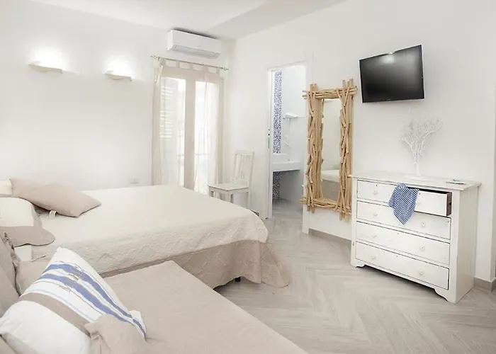 B&B Jolie